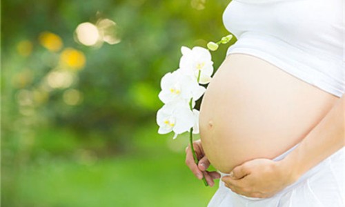 孕妇可以吃莲子红豆沙吗-【孕妇可以喝红豆莲子汤吗】孕妇能不能喝红豆汤 - 孕妇可以喝红豆莲子汤吗网