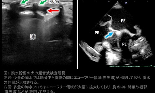 孕妇吃红豆莲子红枣汤的好处-【孕妇可以喝红豆莲子汤吗】孕妇能不能喝红豆汤 - 孕妇可以喝红豆莲子汤吗网